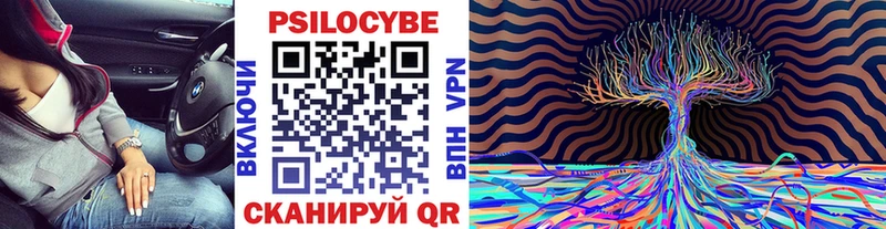 Галлюциногенные грибы Cubensis  купить закладку  Находка 